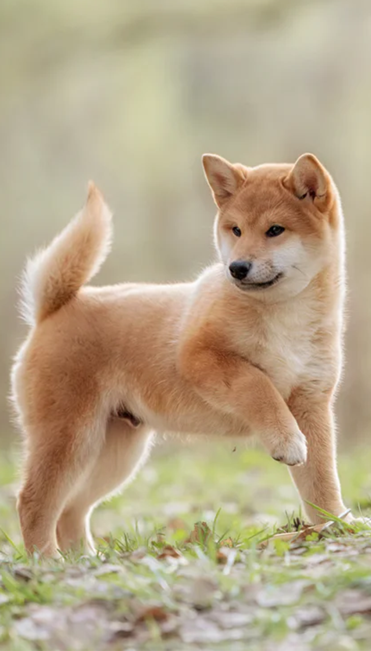 Serious man in black jacket looking at the camera