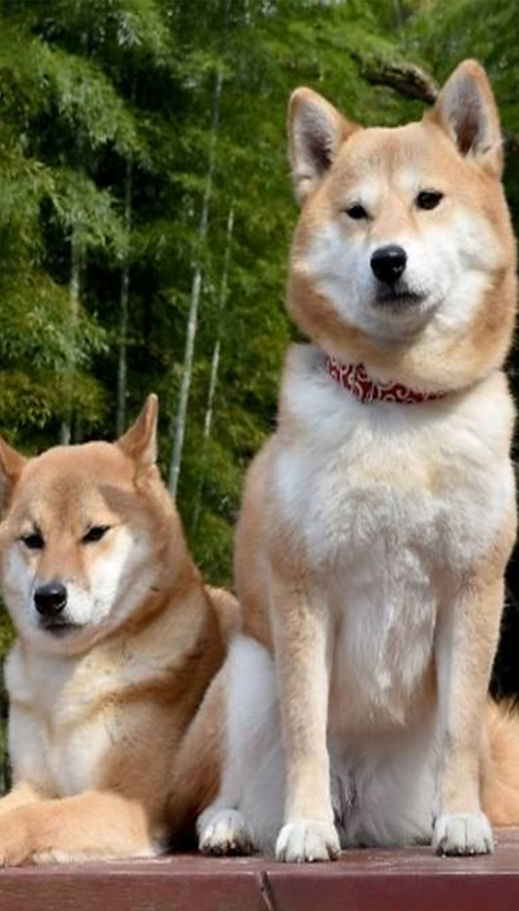 Man with short hair and hoodie smiling gently